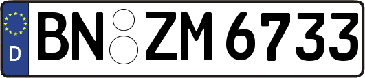 BN-ZM6733