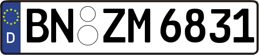 BN-ZM6831