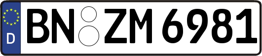 BN-ZM6981