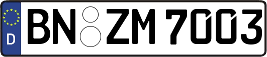 BN-ZM7003