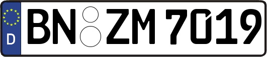 BN-ZM7019