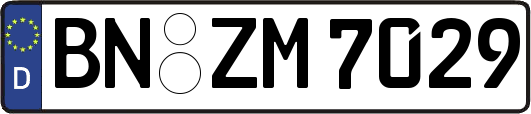 BN-ZM7029