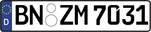 BN-ZM7031