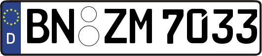 BN-ZM7033