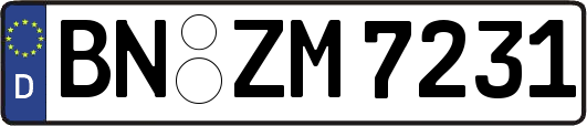 BN-ZM7231