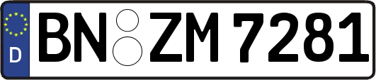 BN-ZM7281