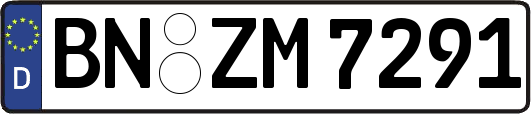 BN-ZM7291