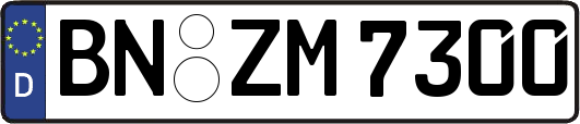 BN-ZM7300