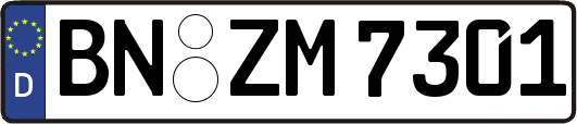 BN-ZM7301