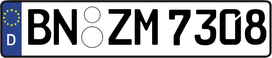 BN-ZM7308
