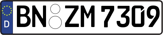 BN-ZM7309