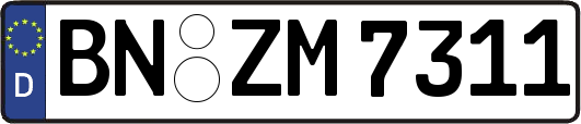 BN-ZM7311