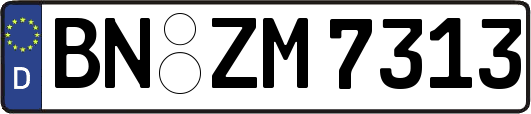 BN-ZM7313