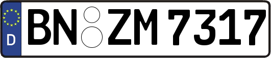 BN-ZM7317