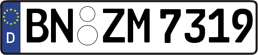 BN-ZM7319