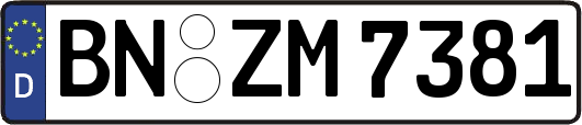 BN-ZM7381