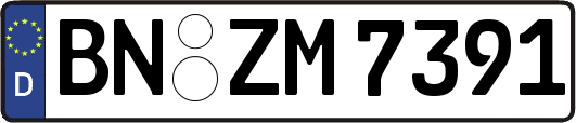 BN-ZM7391