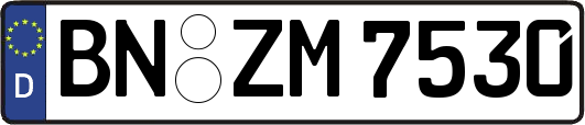 BN-ZM7530