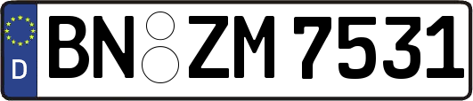 BN-ZM7531