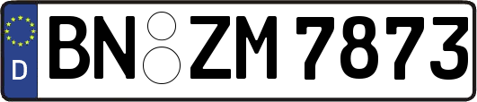 BN-ZM7873