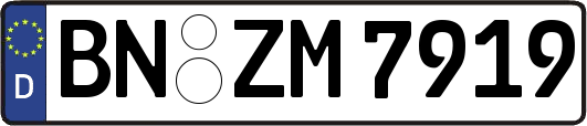 BN-ZM7919