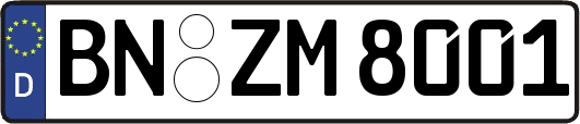 BN-ZM8001
