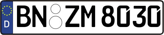 BN-ZM8030