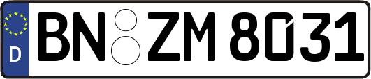BN-ZM8031