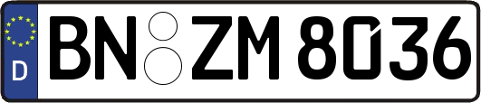 BN-ZM8036