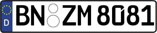 BN-ZM8081