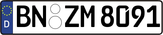 BN-ZM8091