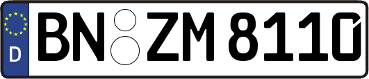BN-ZM8110