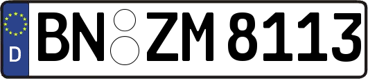 BN-ZM8113