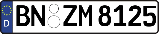 BN-ZM8125