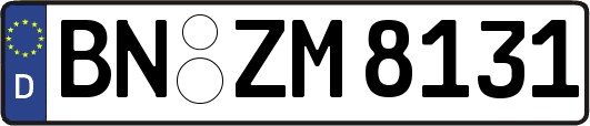 BN-ZM8131