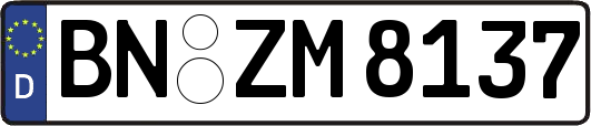 BN-ZM8137
