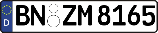 BN-ZM8165