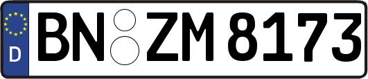 BN-ZM8173
