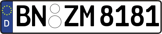 BN-ZM8181
