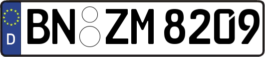 BN-ZM8209