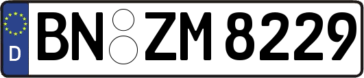 BN-ZM8229