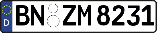 BN-ZM8231