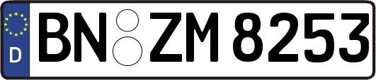 BN-ZM8253