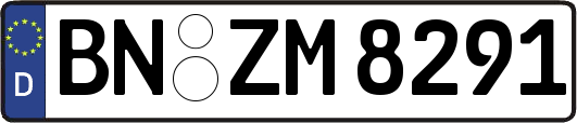BN-ZM8291