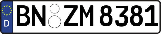 BN-ZM8381