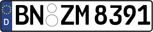 BN-ZM8391