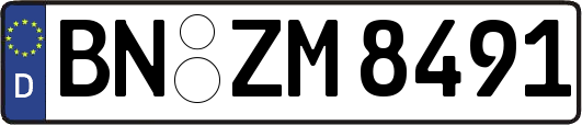BN-ZM8491