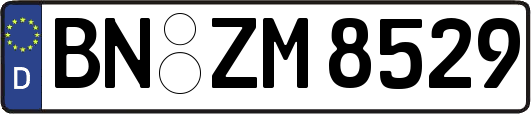 BN-ZM8529