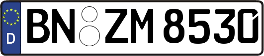 BN-ZM8530
