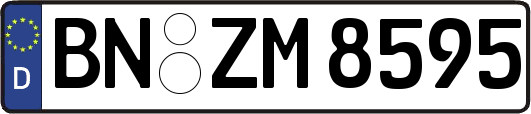 BN-ZM8595